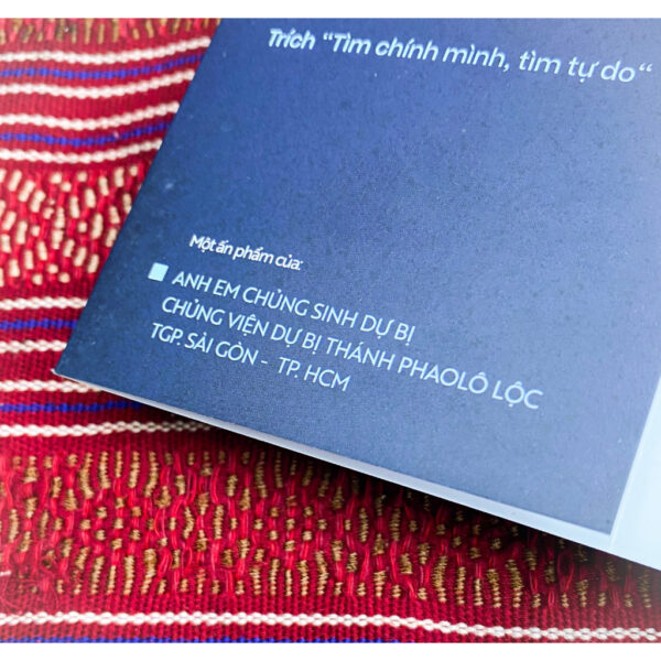 Nơi Chim Trời Làm Tổ - Người trẻ và ơn gọi dâng hiến - Hình ảnh 3